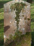 image of grave number 723261